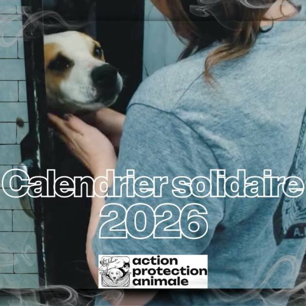 CALENDRIER SOLIDAIRE